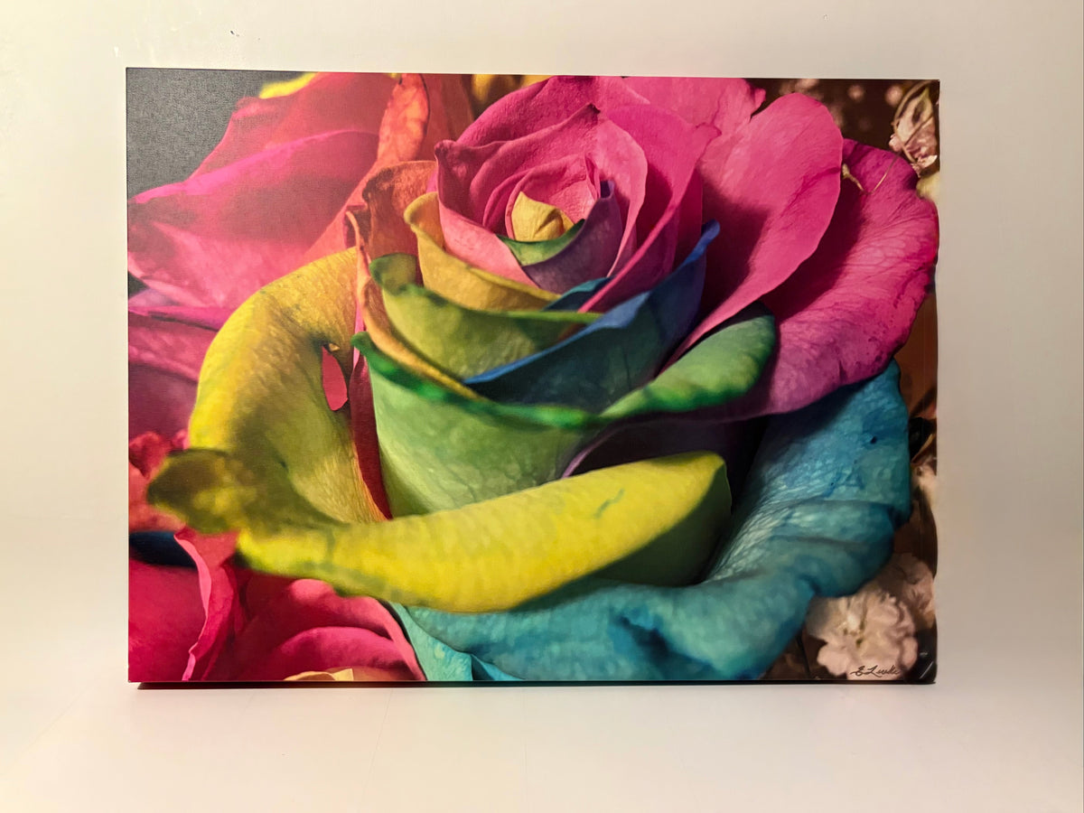 Vibrant Rose