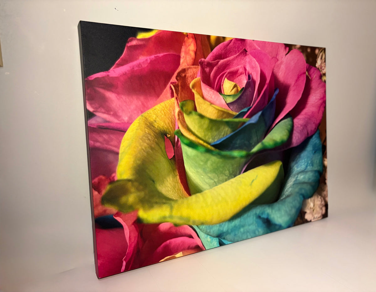 Vibrant Rose