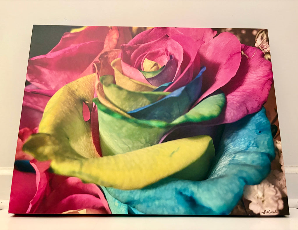 Vibrant Rose