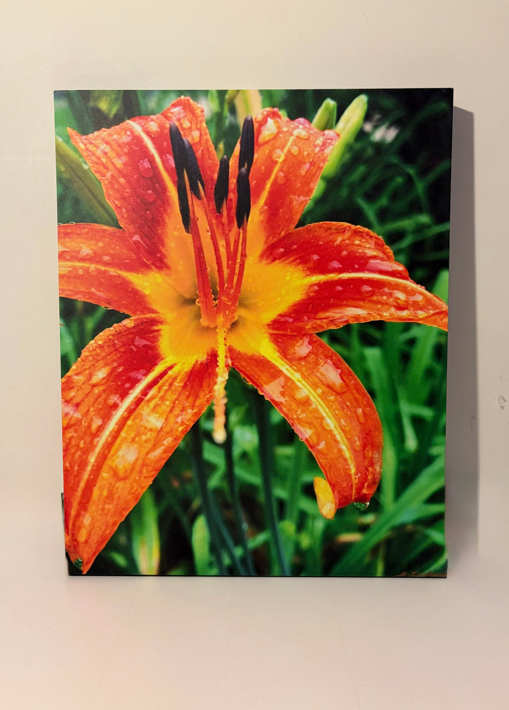 A Pop of Orange