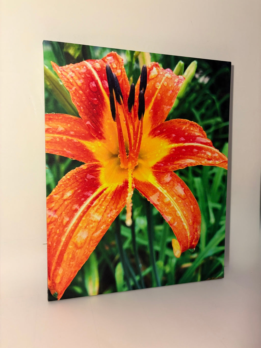A Pop of Orange