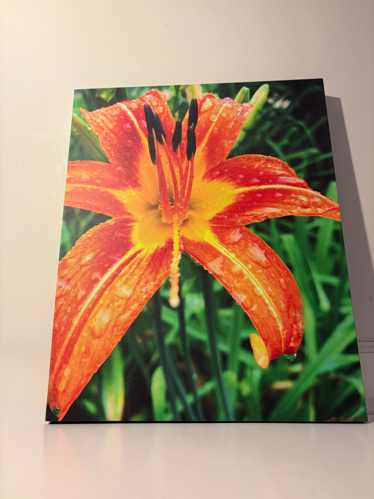 A Pop of Orange